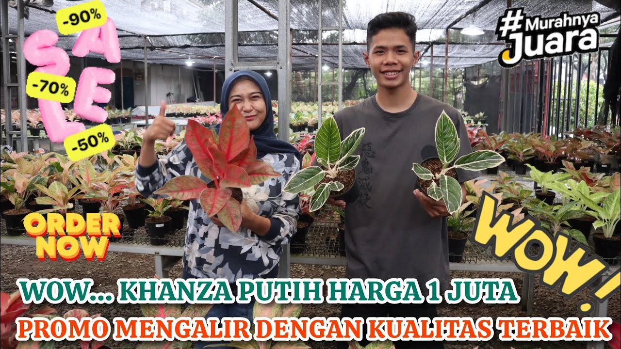 PROMO MENGALIR KHANZA PUTIH HARGA CUMA 1 JUTA AJA. KUALITAS TERJAMIN TERBAIK. SERBU SKRNG. Eps 1583