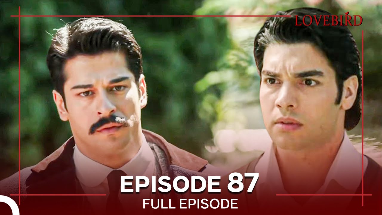 Lovebird Episode 87