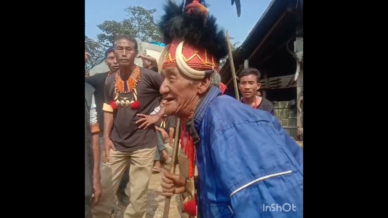Pulang hem (Shiyong Wanghimpaa)