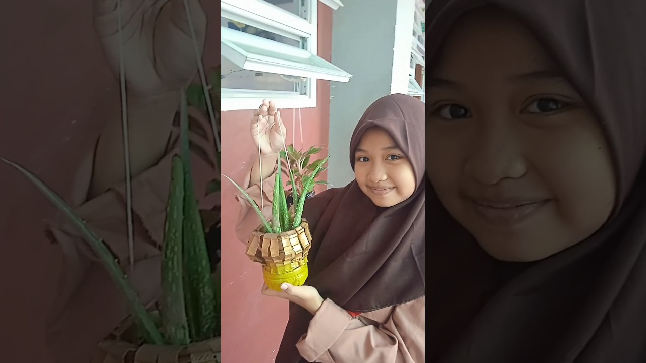 Pot Bunga Botol Plastik Bekas
