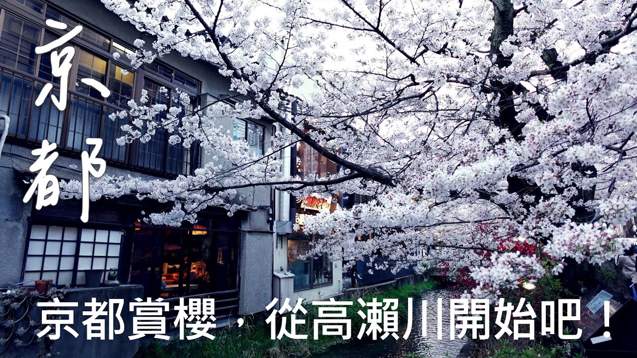 日本花見Ep.08｜京都賞櫻｜錦市場｜高瀨川木屋町櫻花絕景｜祗園白川夜櫻｜KYOTO Vlog