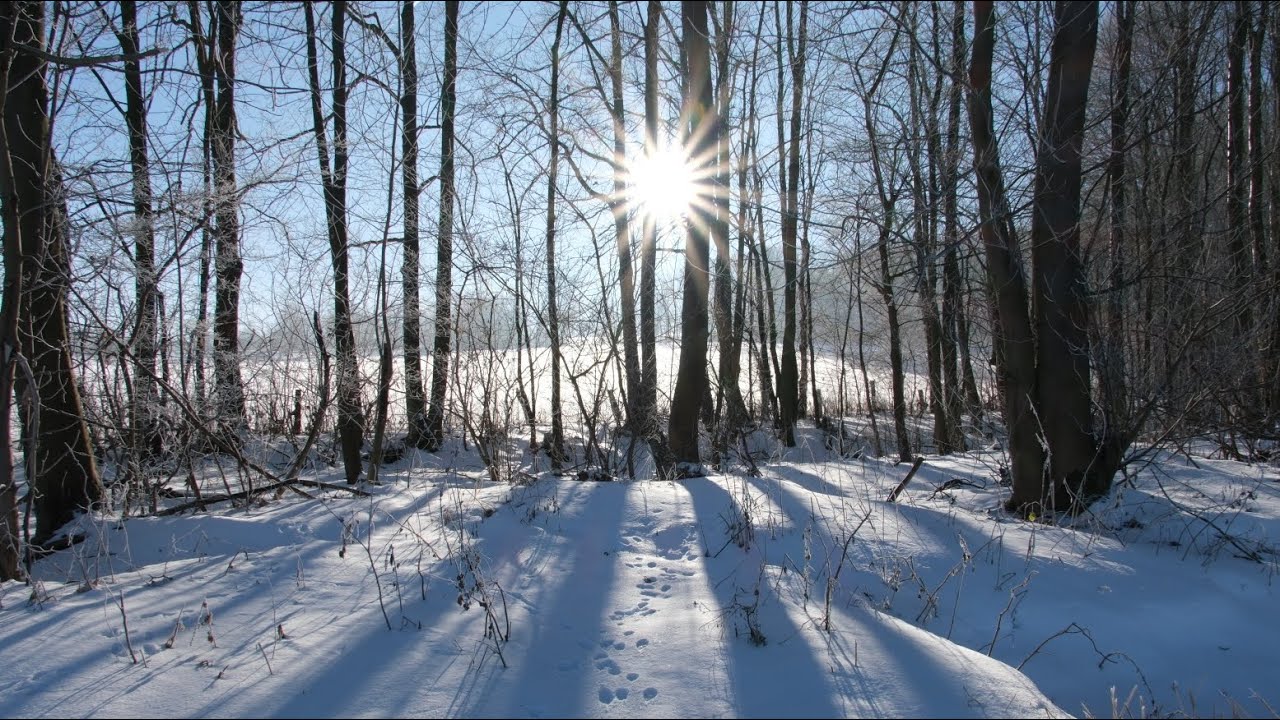 Januar und Februar im göttinger Winter 2026 ❄️