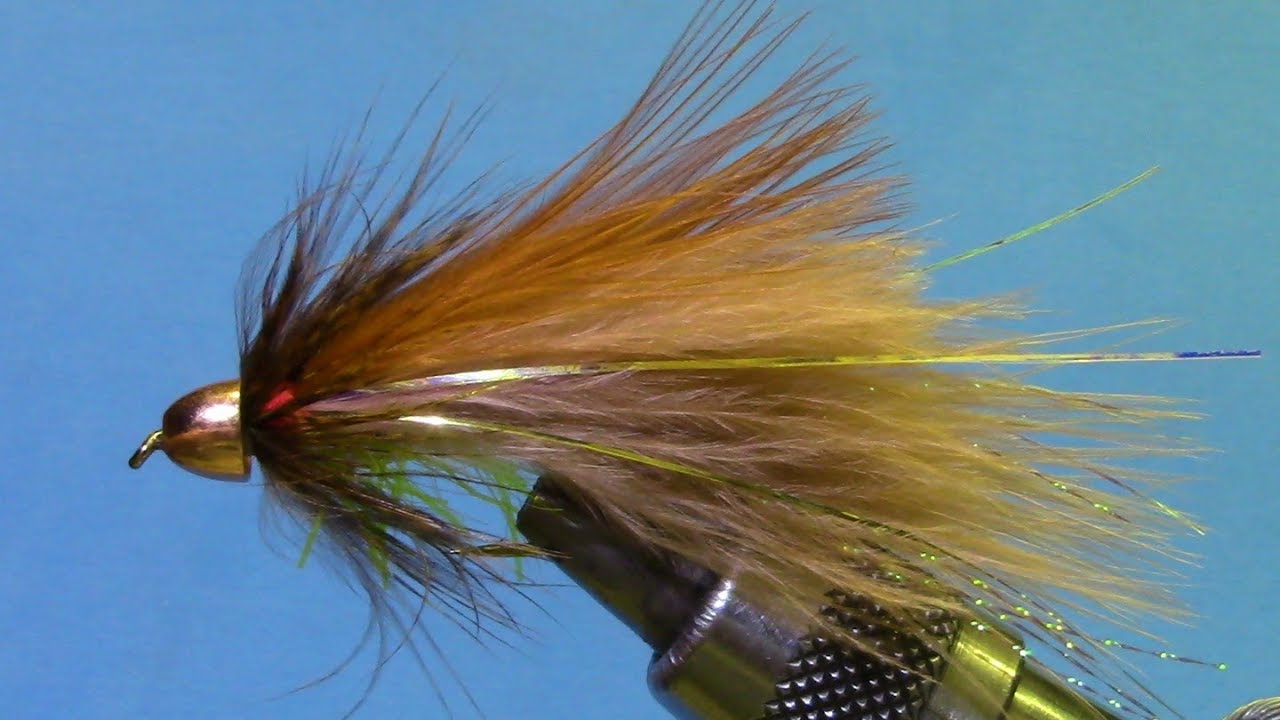 Baby Brown Trout