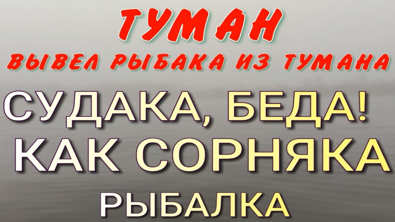 Судака, как сорняка!!! Рыбалка в тумане на окуневые воблеры 