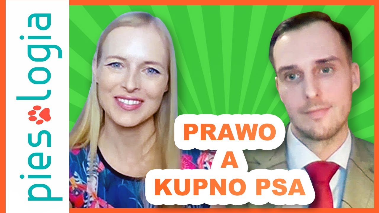 Jakie mamy prawa przy kupnie psa? - Rozmowa z prawnikiem ⚖️