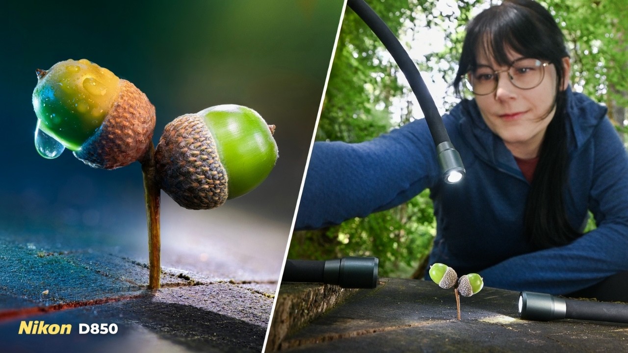 Creative Nature Close-Ups: Macro Lighting Experimentation