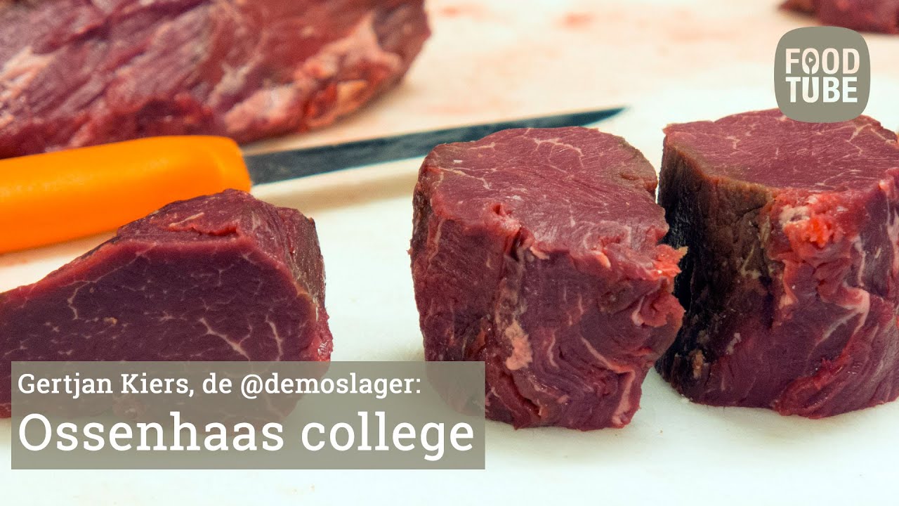 Ossenhaas college door @demoslager Gertjan Kiers