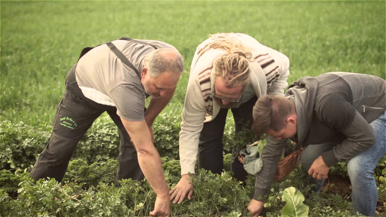 Wir kochen gut in der Pilsner Region