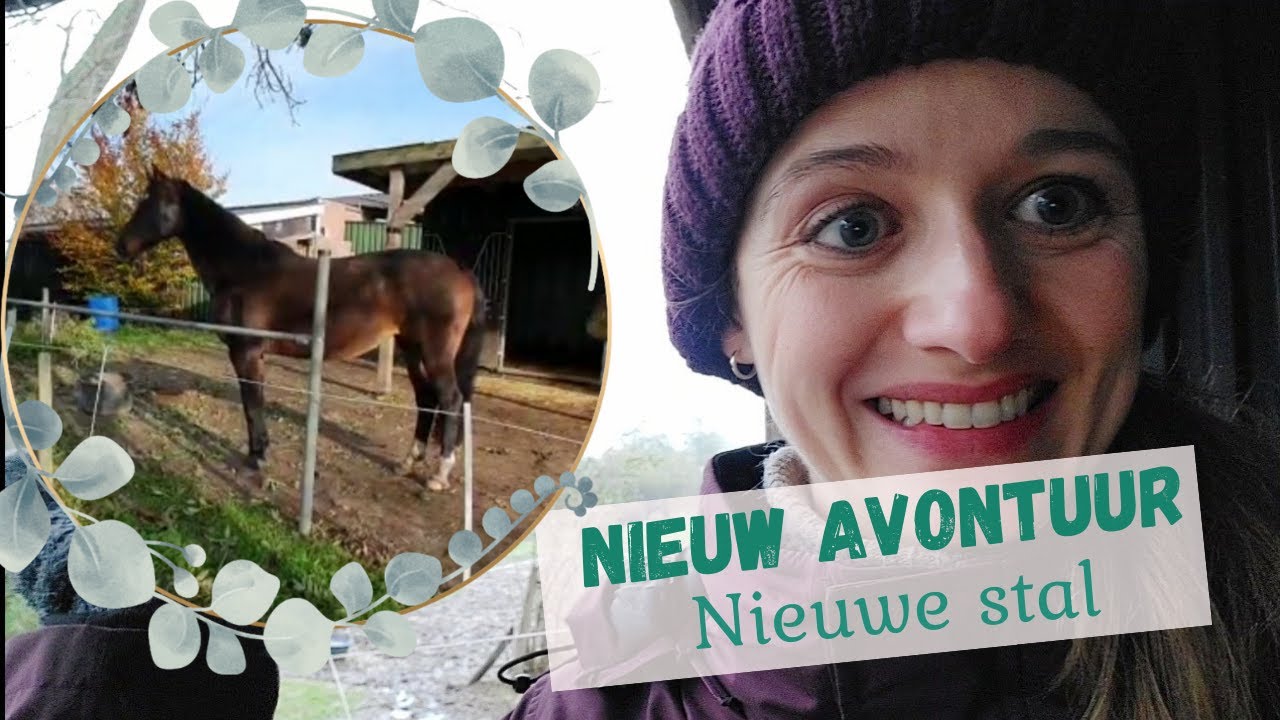 NIEUWE STAL - VERHUIZING - NIEUW AVONTUUR | Following my horse dreams