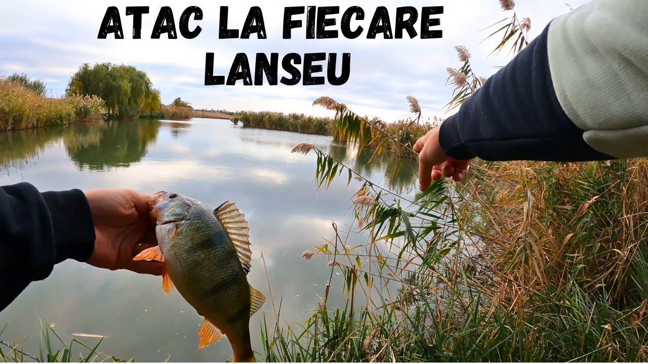 SENZATII TARI cu BIBANOCI pe ULTRALIGHT