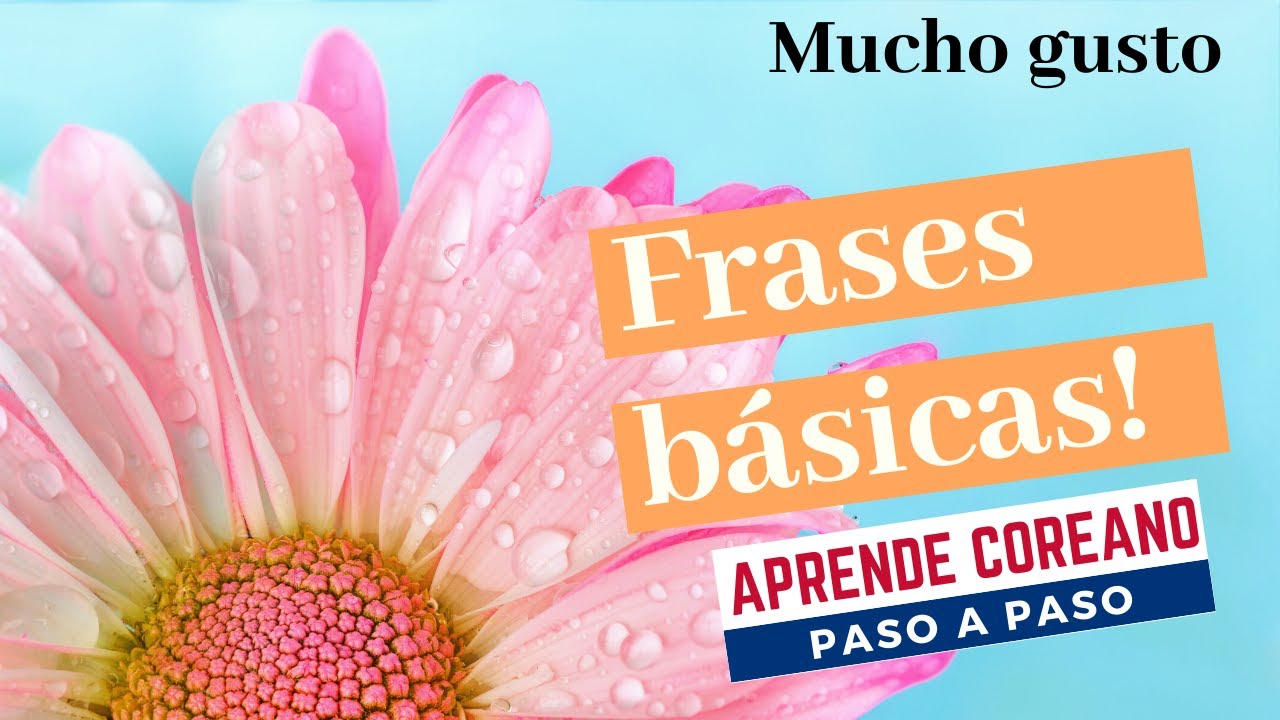 MUCHO GUSTO en coreano (Leer la descripci&oacute;n) #coreanofacil #idiomacoreano #aprendercoreano