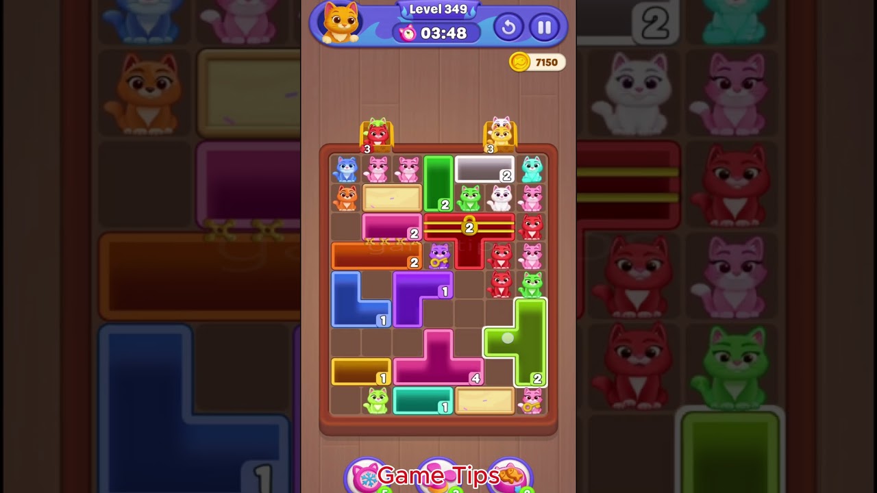 Catdom Color Hole level 349 Solution Walkthrou