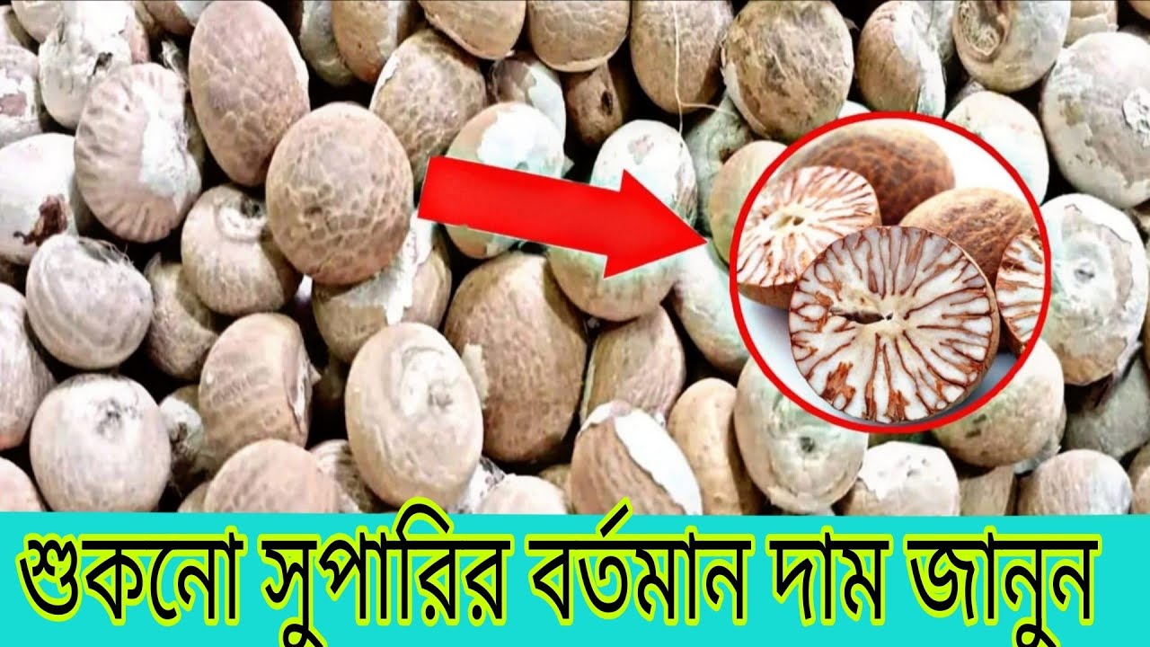 শুকনো সুপারির বর্তমান দাম জানুন।। শুকনো সুপারির পাইকারি বাজার।।
