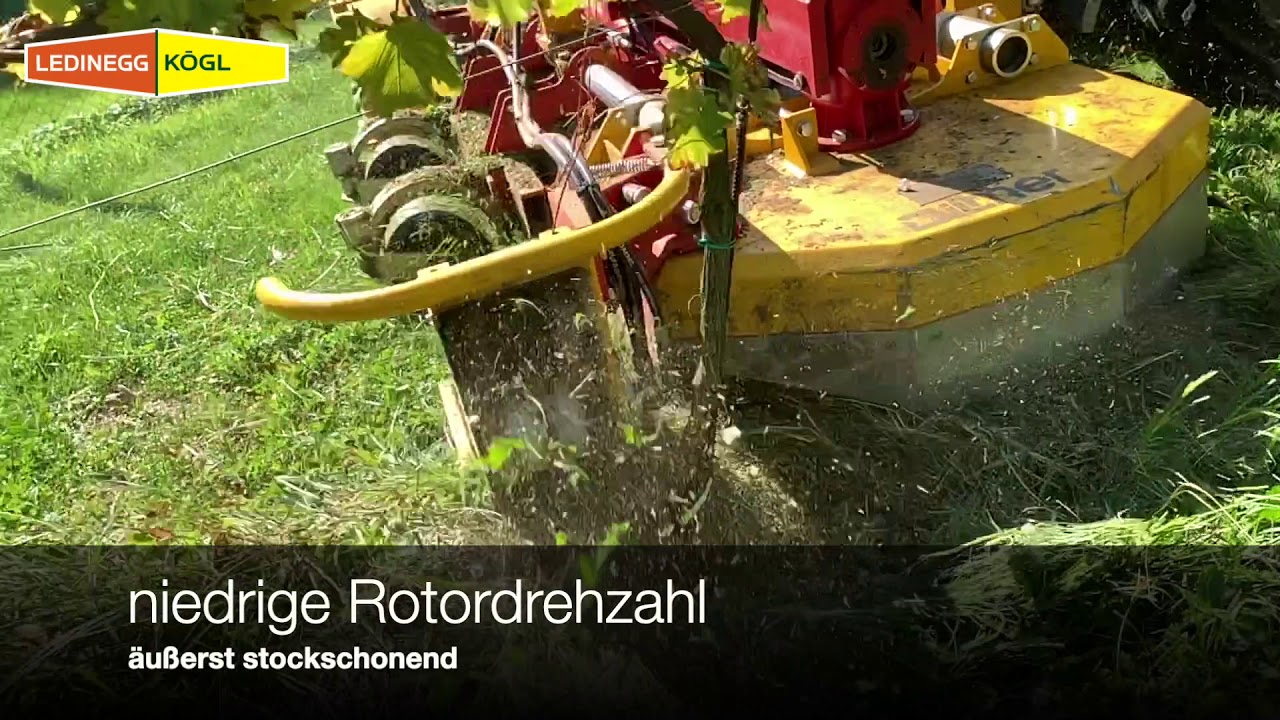 Ilmer LMG 260 C mit Mähbürsten