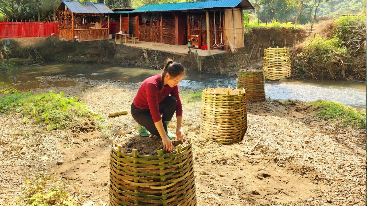 How to build a bamboo bridge. A girl builds a long bamboo bridge alone leading to her new home.