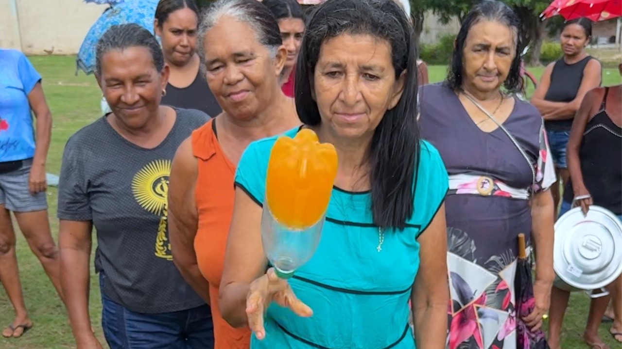 especial do dia das mulheres: quem vai levar mais prêmios?