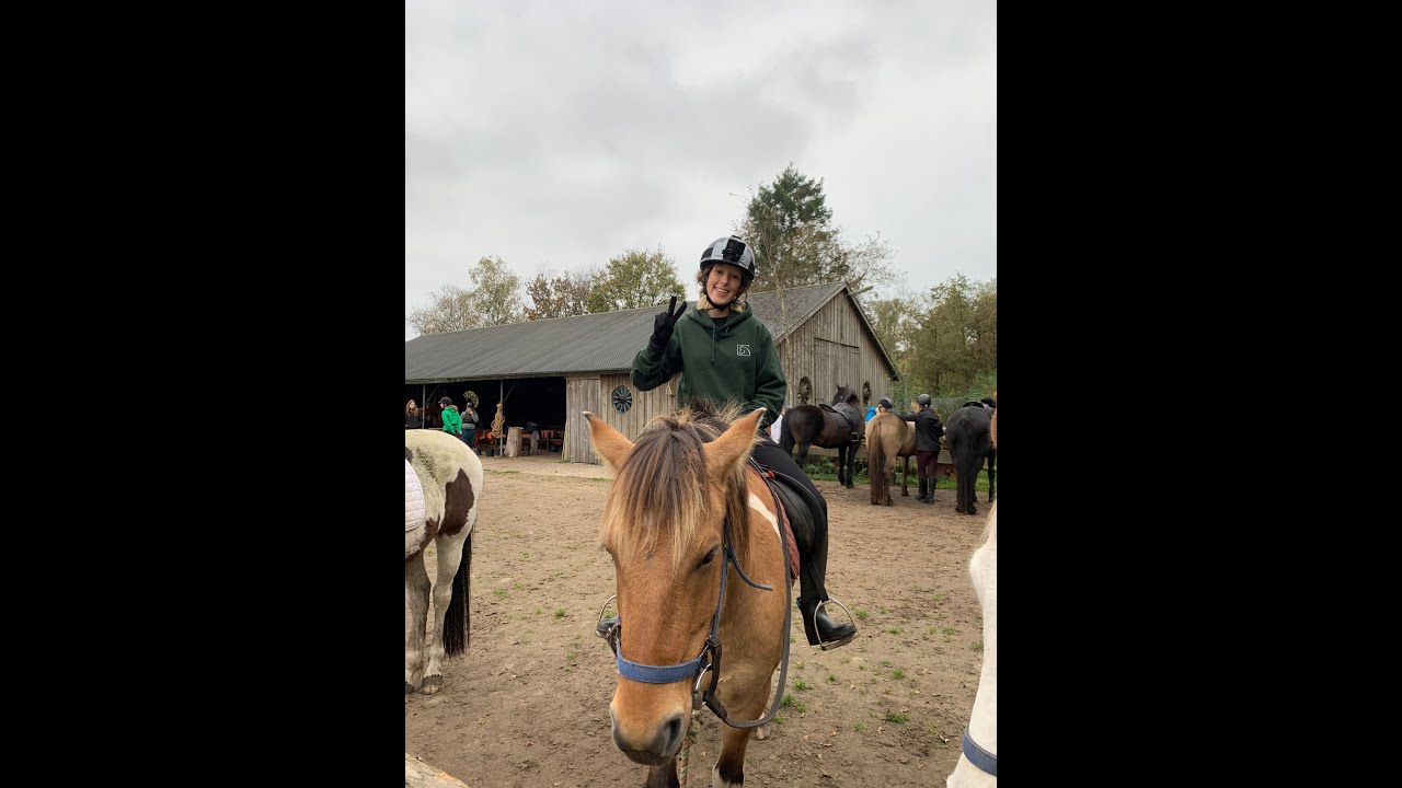 Rc Het Fjordenpaard Herfst 2024