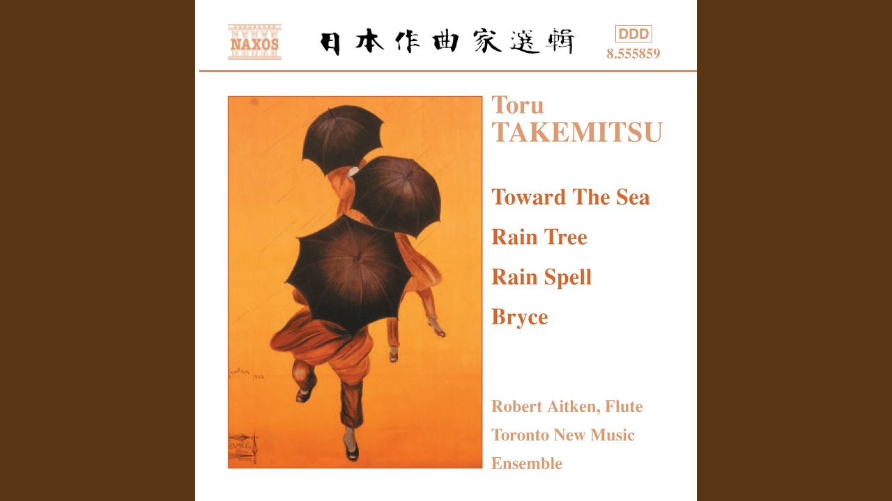 Ame no ki (Rain Tree) : Rain Tree