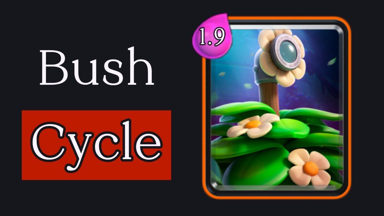 1.9 Suspicious Bush Cycle is Broken