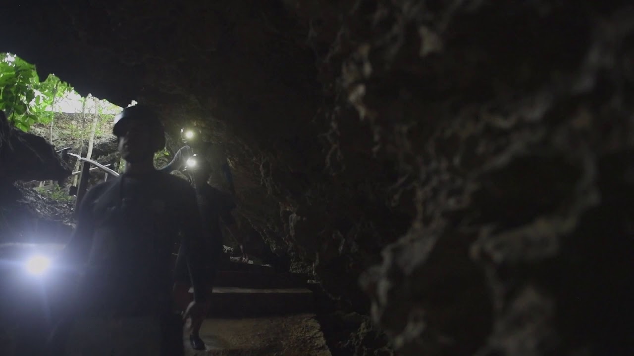 Best Cenote and underground rivers tours in Playa del Carmen!