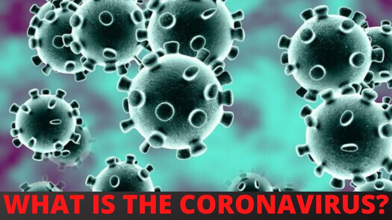 Novel Coronavirus [2019 nCoV]  World Health Organization WHO Explanation