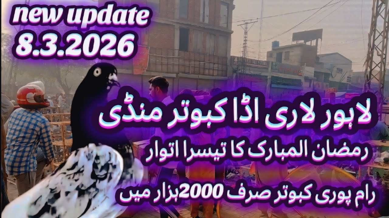 Lahore lare ada kabotre mandi new update 8.3.2026