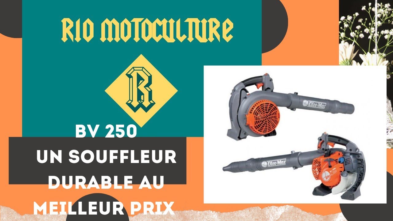 BV250 oleo-mac souffleur thermique le meilleur choix ?