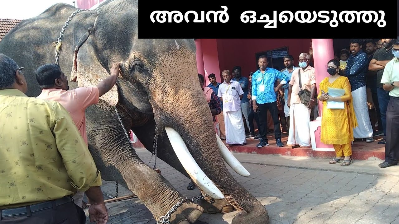THOTTEKKAD VINAYAKAN l ടെസ്റ്റ്‌ ചെയ്തപ്പോൾ അവൻ ഒച്ചയെടുത്തു