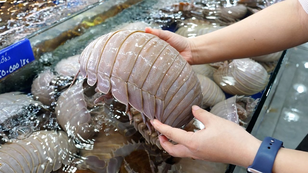 심해에만 사는 거대 바다 딱정벌레 요리 모음 Deep Sea Beetle Recipe Collection