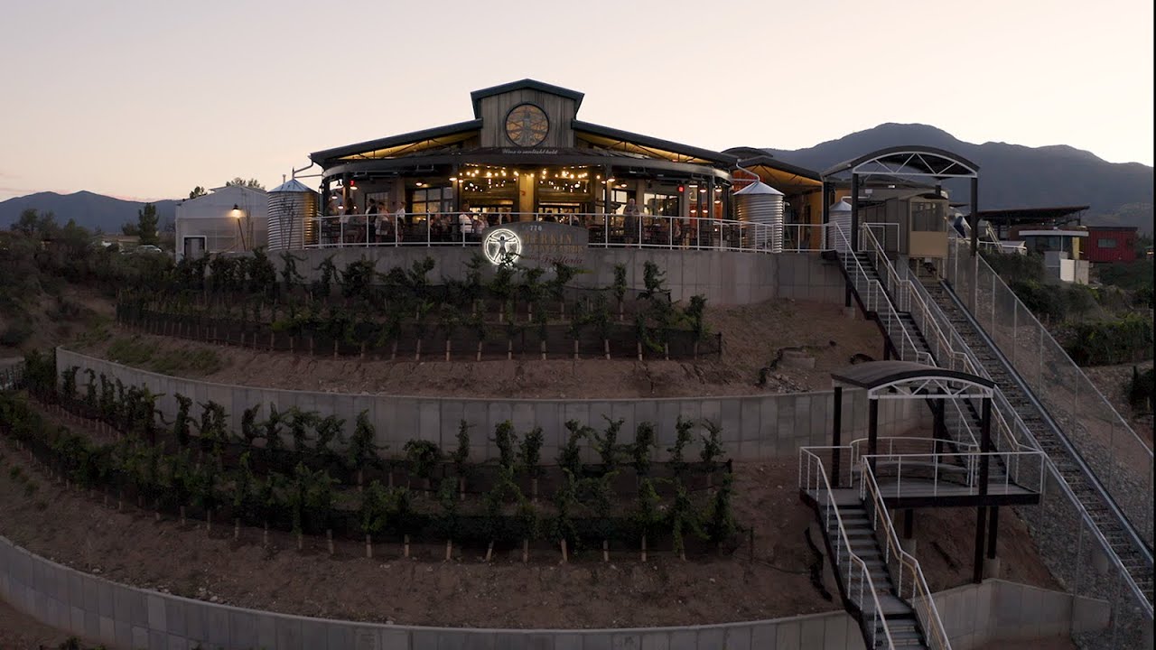 Merkin Vineyards Hilltop Winery & Trattoria