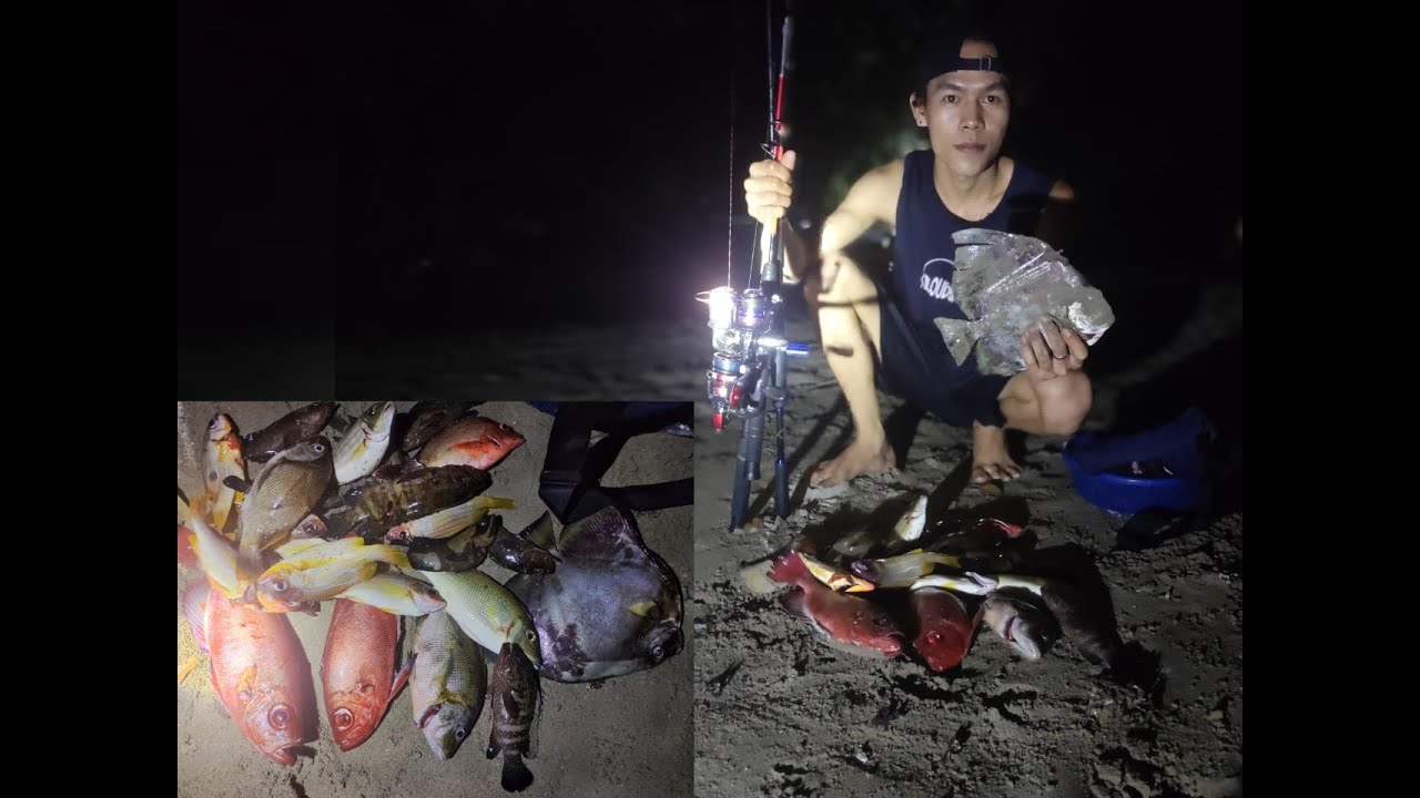 umpan jitu mancing di karang‼️ikan auto narik terus, yang naik babon semua