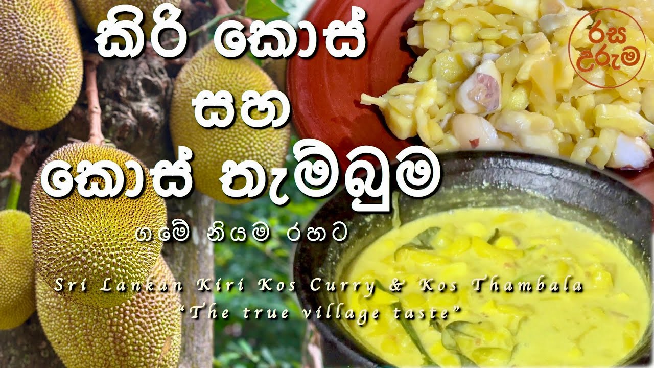 බත් ගහෙන් ලැබුණු දිව්‍යමය භෝජනය | කිරි කොස් සහ කොස් තැම්බුම | Sri Lankan Jackfruit Curry Recipe 🇱🇰
