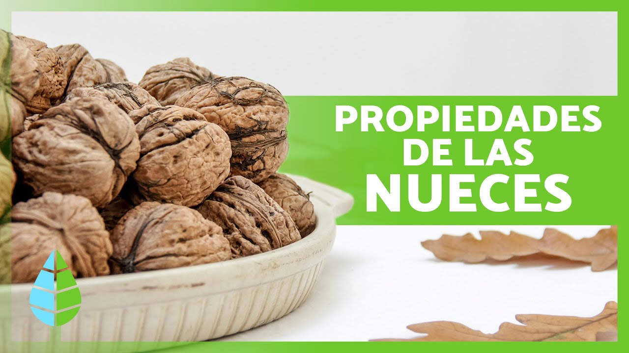 BENEFICIOS de las NUECES 🥜 (Propiedades Medicinales, C&oacute;mo Comerlas y Contraindicaciones)