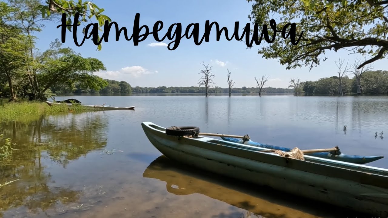 hambegamuwa wewa | හම්බෙගමුව වැව | Hambegamuwa #travel #hambegamuwa #bathiyaa