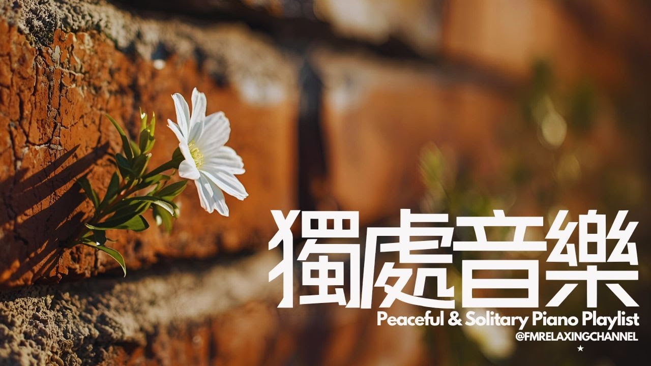 【SOLITARY PIANO MUSIC】煩囂都市找寧靜一刻，一個人聽著寧靜音樂，清空腦袋，平靜思緒，釋放平日累積的壓力及焦慮，停止內耗，幫你容易入睡，🏵️治癒身體、思想和精神，心靈和靈魂的能量