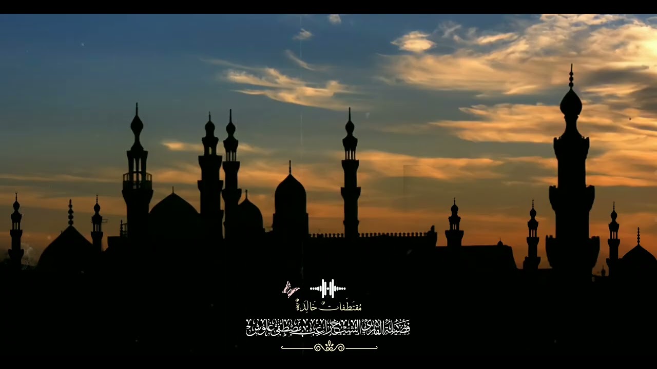 سورة الرعد و قصار السور فضيلة الشيخ راغب مصطفى غلوش🎙️
