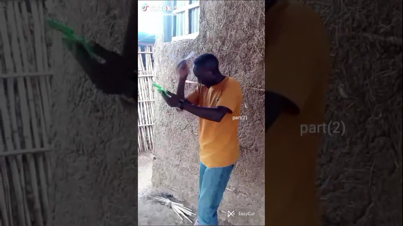 Desalegn dream 