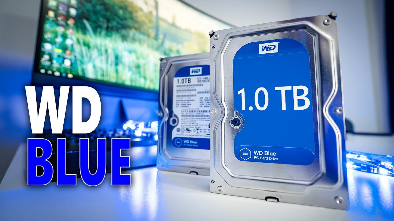 Почему жёсткие диски WD Blue так популярны? Обзор Western Digital Blue ёмкостью 1 ТБ