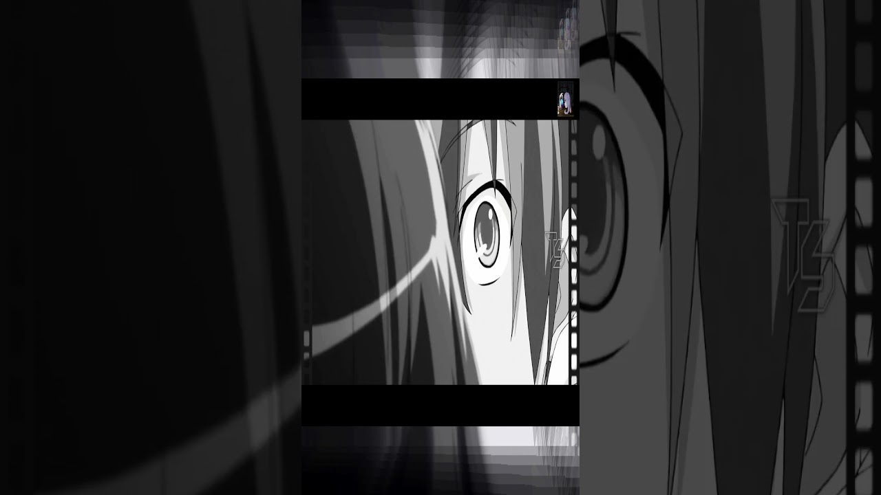 AMV SHIZUKU & NATSURO 06 #amv #kampfer #k&auml;mpfer