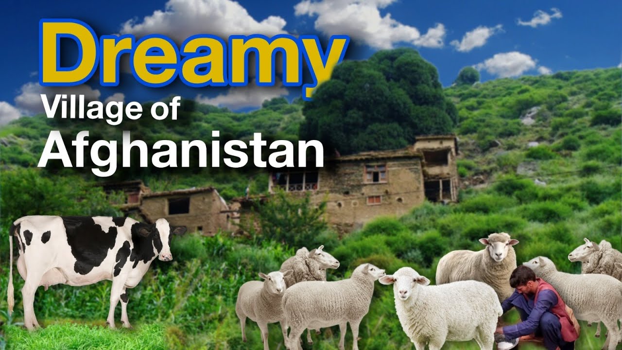 A Day in a Farmer's Life Milking Goats | Afghanistan's Hidden Villages