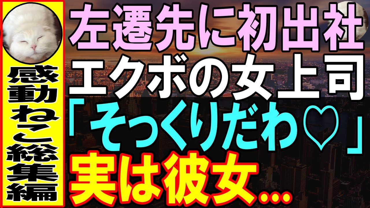 【感動する話★総集編】重大ミスが原因で左遷された俺。親切な女上司は実は亡き兄の想い人→ある日、女上司が大ピンチの状況に…俺が彼女を救うと急展開に…【いい話】【朗読】