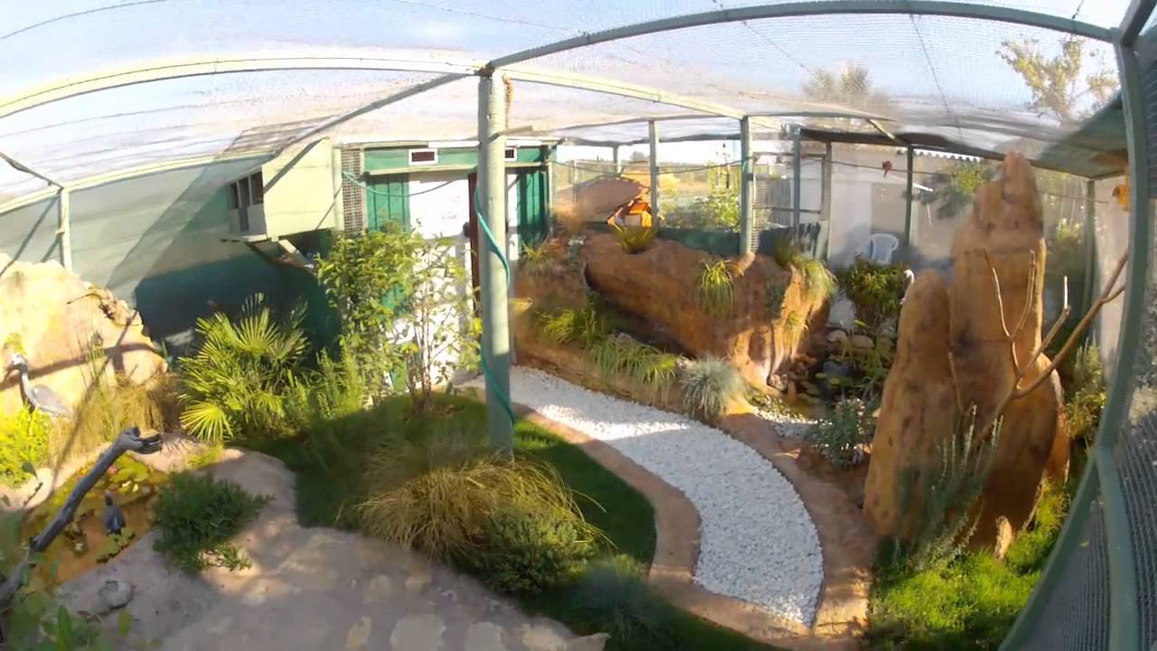 Les potins de ma volière...