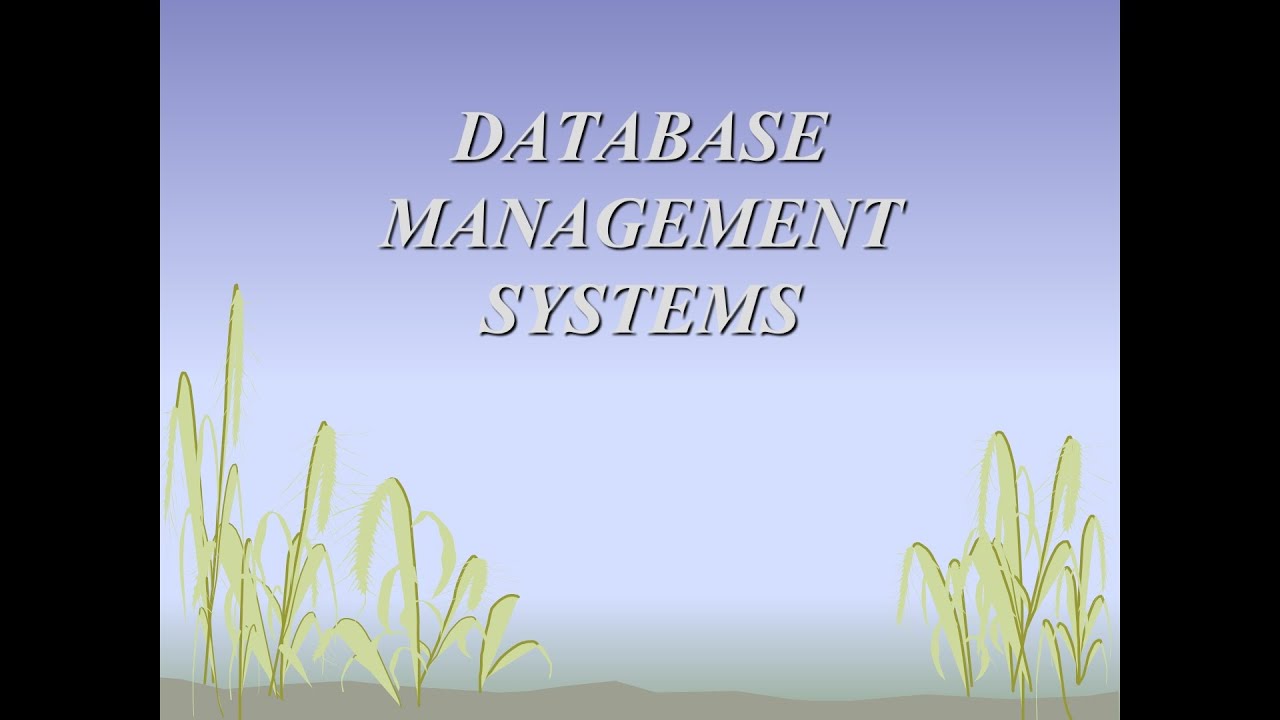 DATABASE MANAGEMENT SYSTEMS