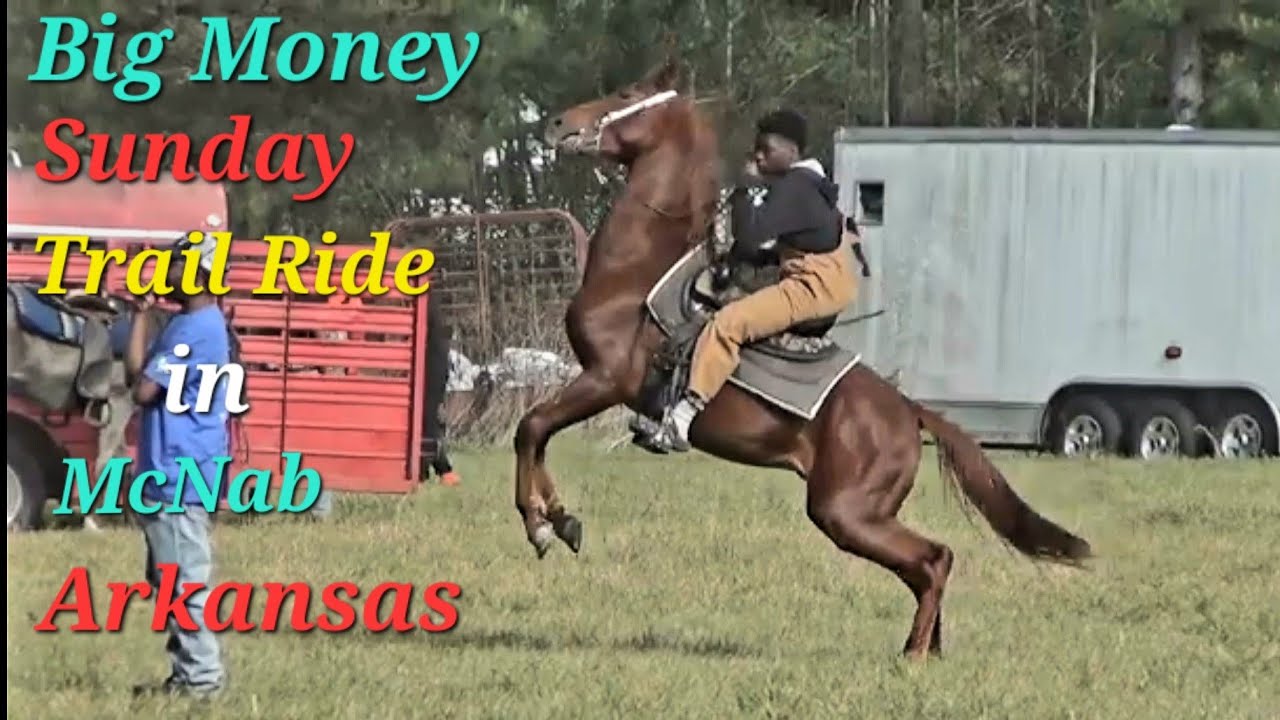 Конная прогулка Big Money Cowboys Singlefoot по воскресеньям в Арканзасе (Часть 3)