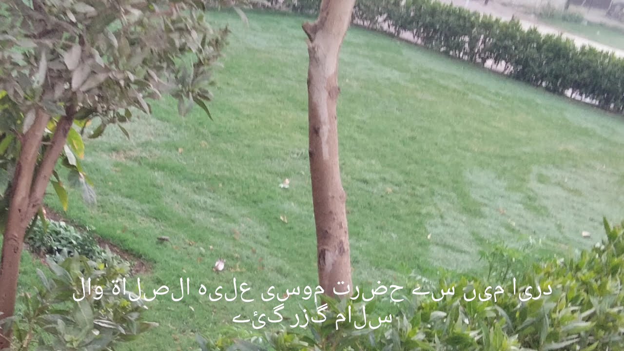 Shadi E Ali O Fatima 💖 | Iman Afroz Waqia | Peer Ajmal Raza Qadri Bayan