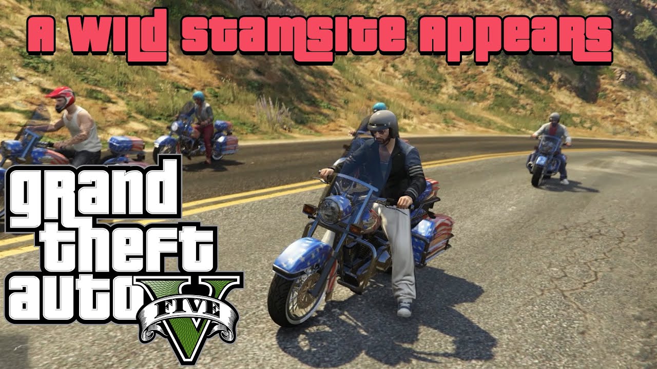 GTA 5 Race | A Wild Stamsite Appears
