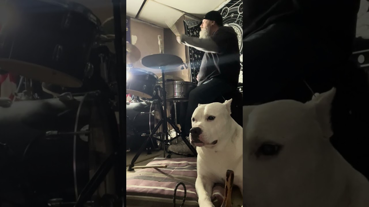 Kujo backing track 