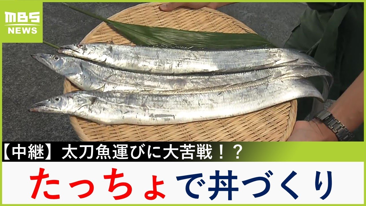 旬の「太刀魚」をふわふわの天ぷらや刺身で堪能！　リヤカーでの太刀魚運びを川地アナがお手伝いするも大苦戦！？【川地洋平の最旬！丼マン】【現場から生中継】（2024年10月11日）