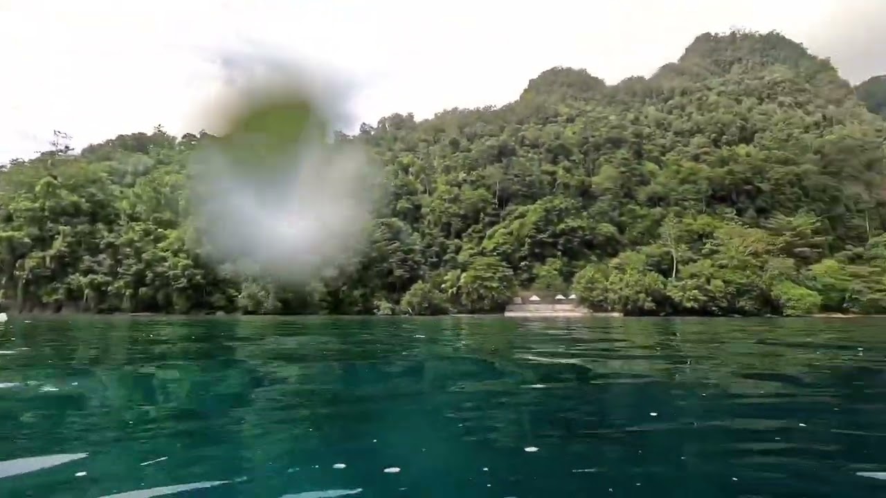 spearfishing di kota Ambon,dapat ikan tiger coral trout yang cantik
