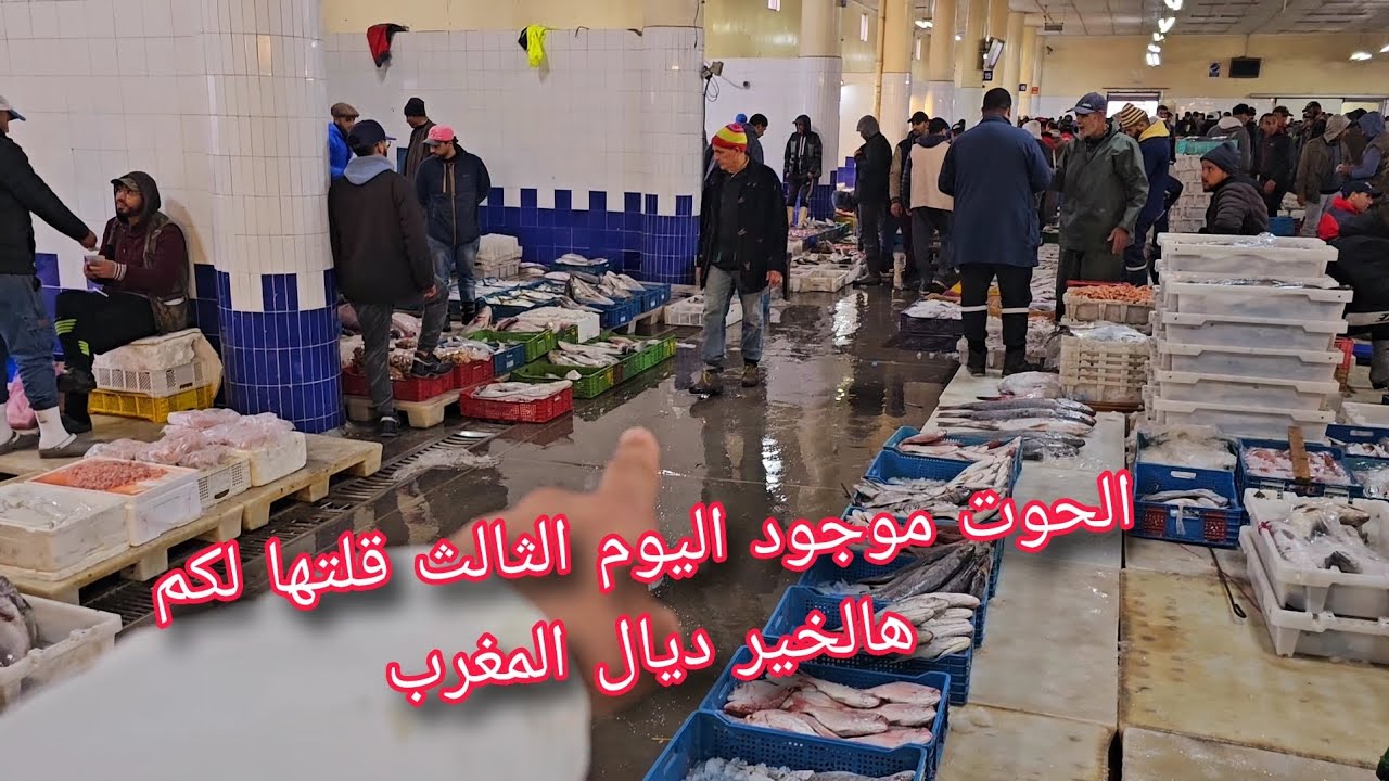خبر عاجل😲صبح الحوت موجود اليوم الثالث من رمضان مباشرة🤔👈من سوق السمك بالجملة مدينة الدار البيضاء🫡✅️